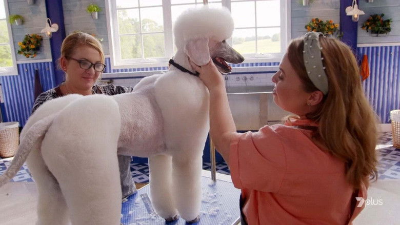 Still image for Pooch Perfect season 1 episode 4: Episode 4 Still image for Pooch Perfect season 1 episode 4: Episode 4