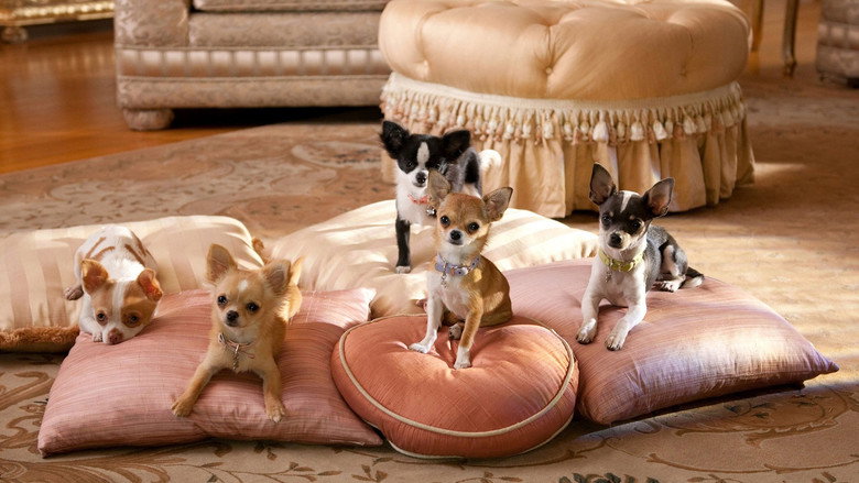 Beverly Hills Chihuahua 2