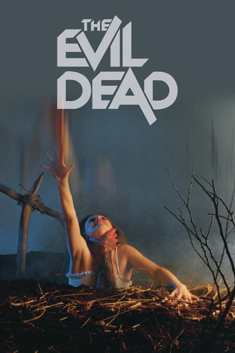 Póster la Película