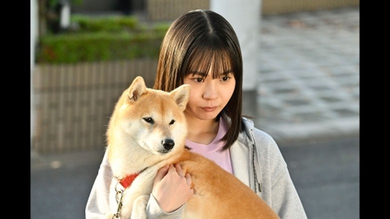 Still image for Today's Walk season 1 episode 4: Episode 4