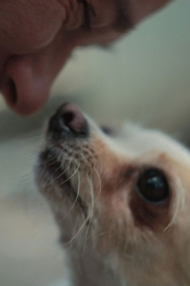 Imatge de Wszystko ma żyć