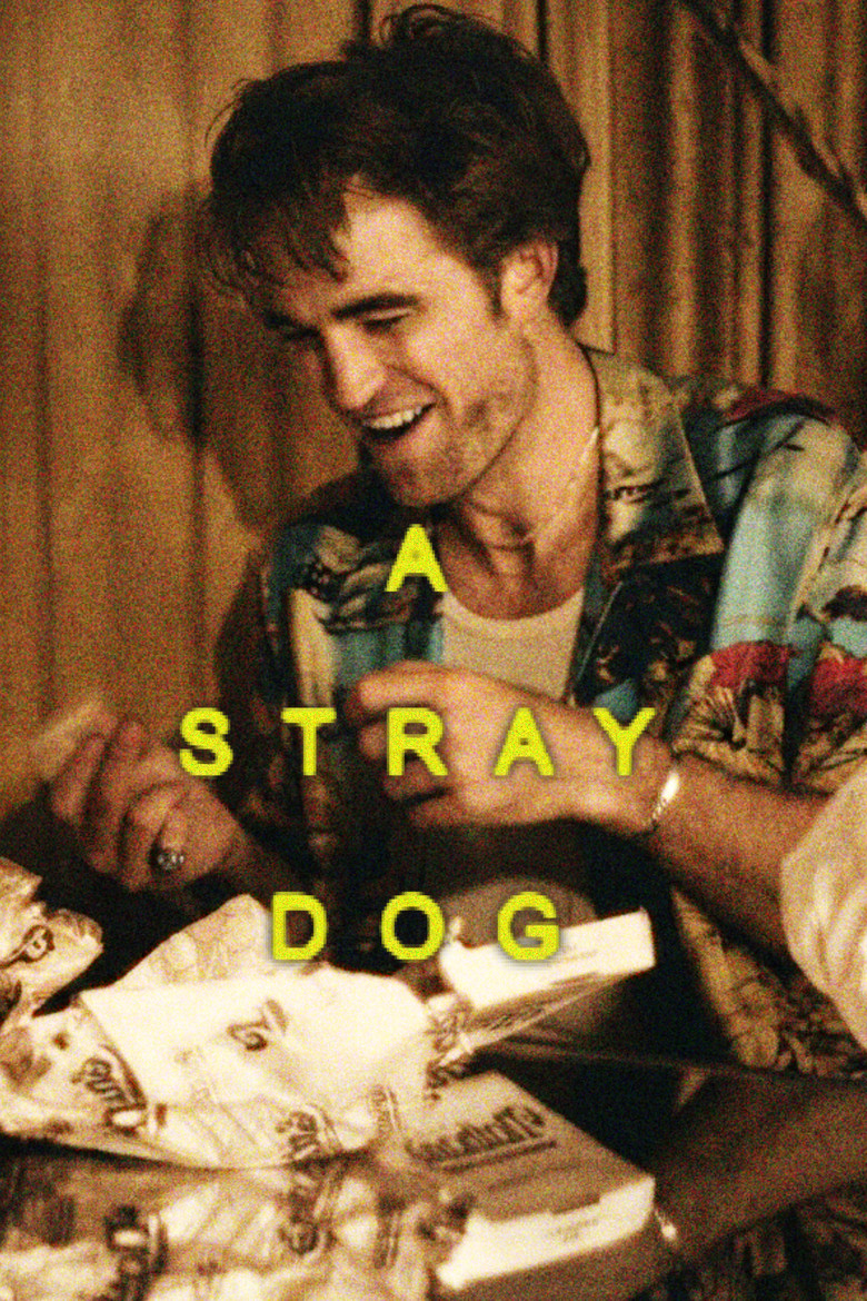 Imatge de A Stray Dog
