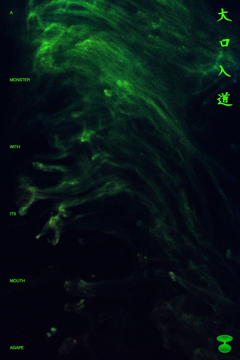 Imatge de A Monster with Its Mouth Agape