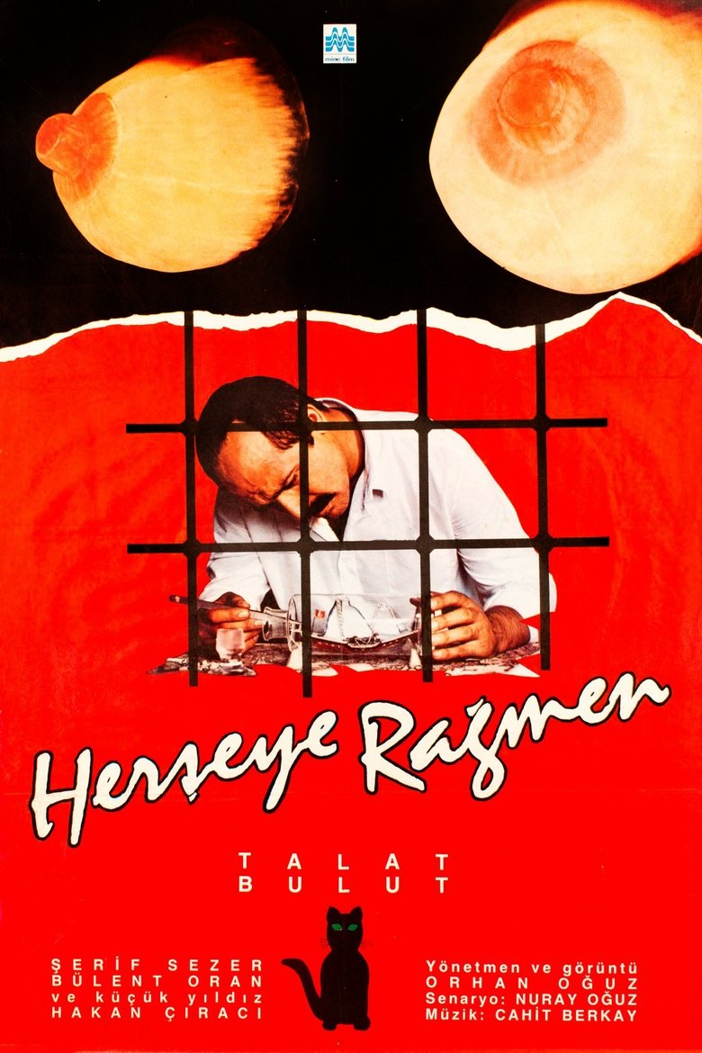 Her Şeye Rağmen poster