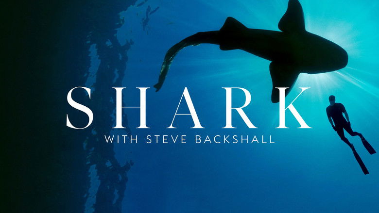 Shark with Steve Backshall backdrop 7