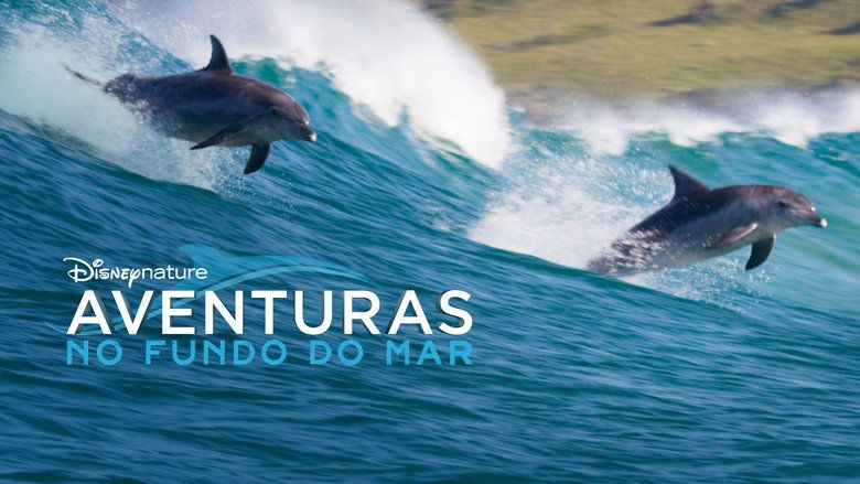 Dolphin Reef (2018)