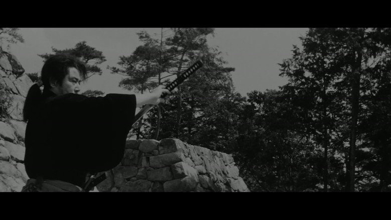 The Ninja Hunt backdrop 10