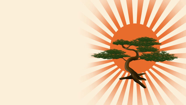 Backdrop de Karate Kid - Col·lecció