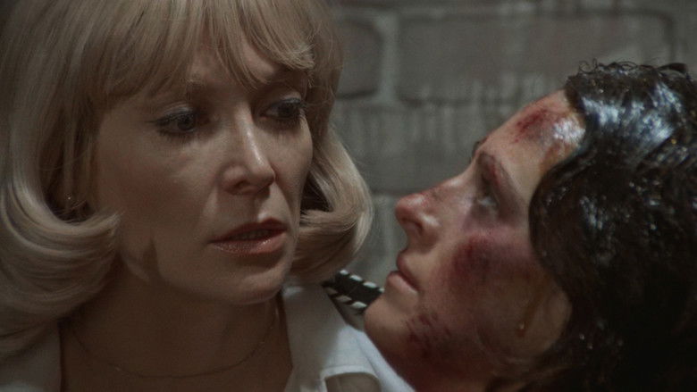 Image d'arrière-plan 7 du film Ilsa, la louve des SS