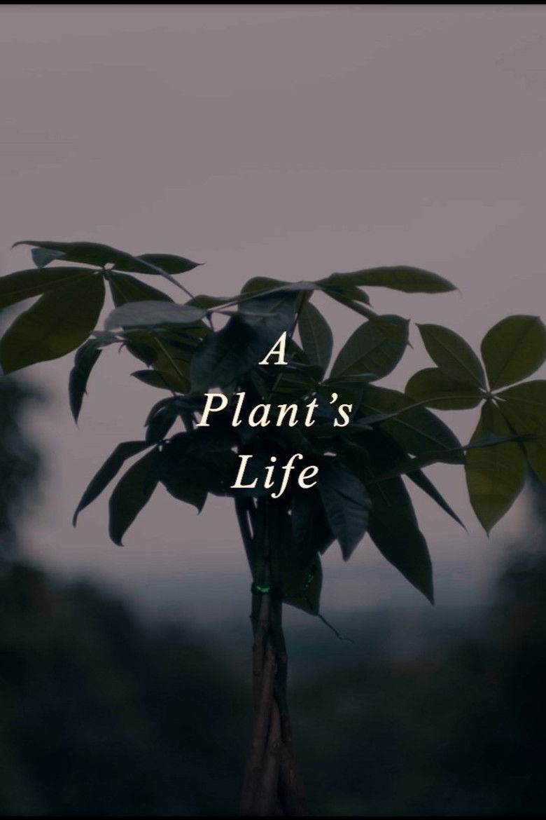 Imatge de A Plant's Life
