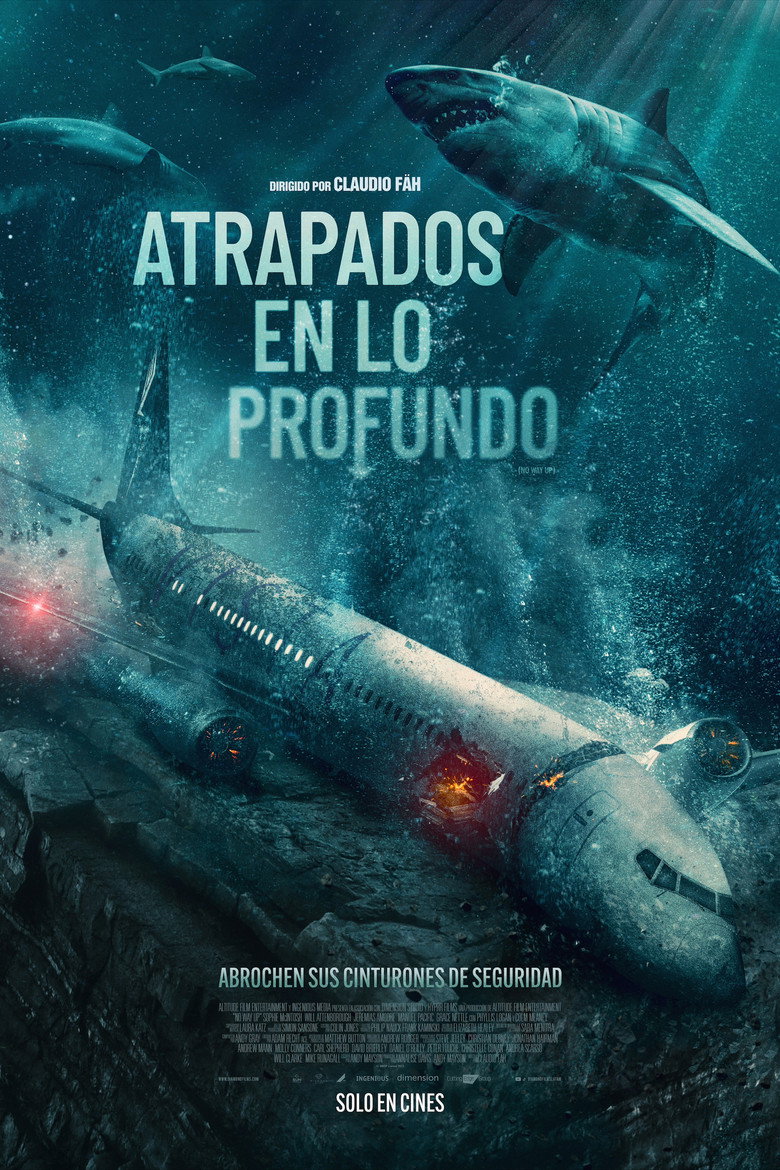 Póster la Película
