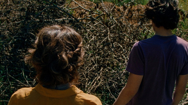 Imatge de Tarde no Planeta