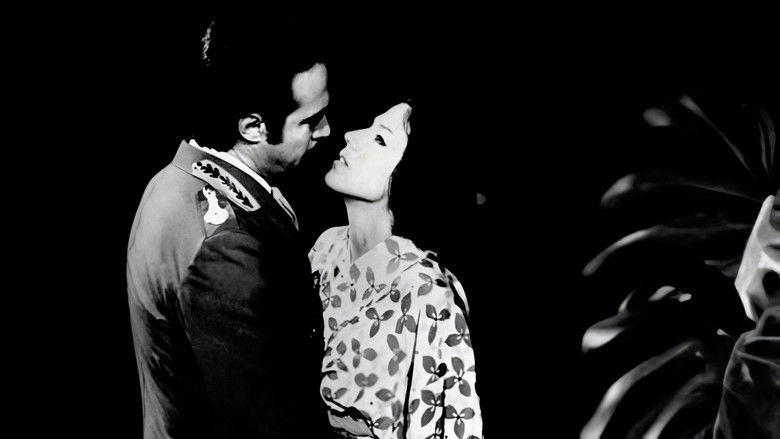 A Sombra de Rebecca backdrop 1