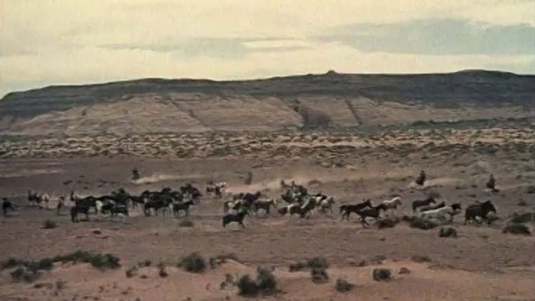 Der Schauplatz des Krieges. Das Kino von John Ford