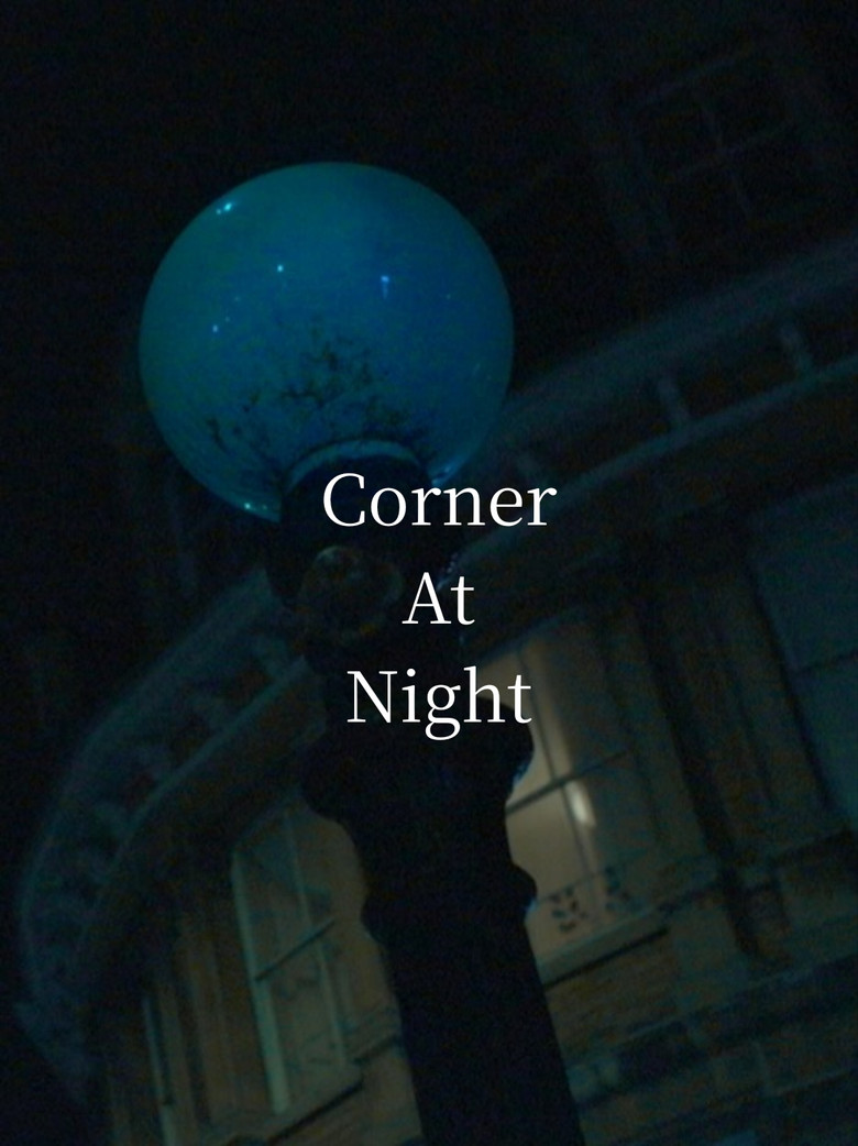 Imatge de Corner at Night