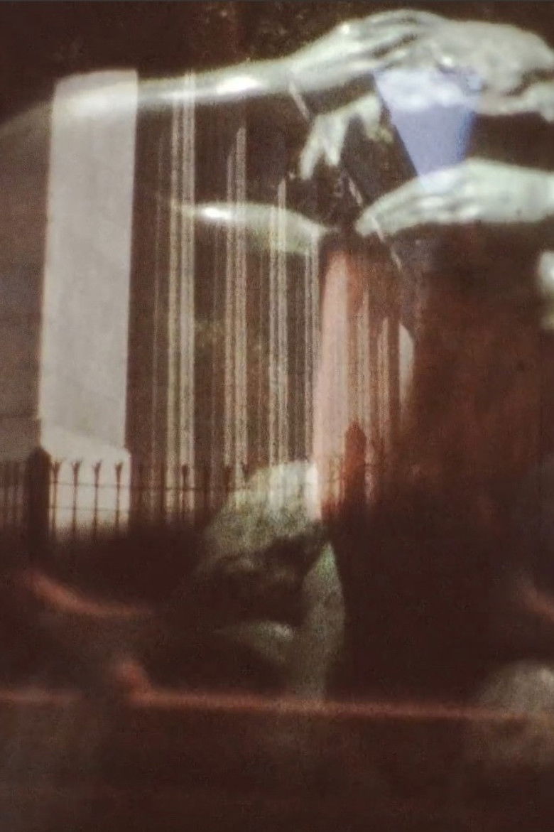 Imatge de The Impossible Flowers