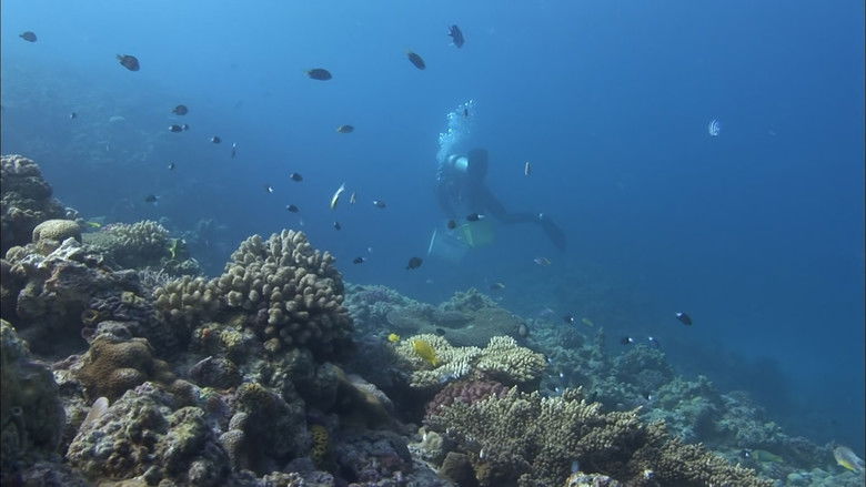 Still image for Testimony of N season 1 episode 5: Episode 5 Still image for Testimony of N season 1 episode 5: Episode 5