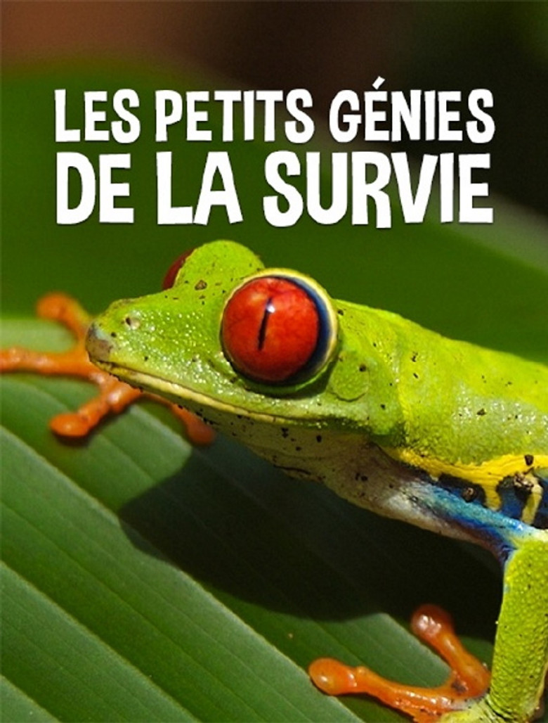 Les petits génies de la survie background