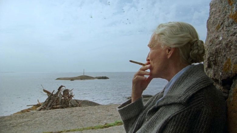 The Summer Book (2025)