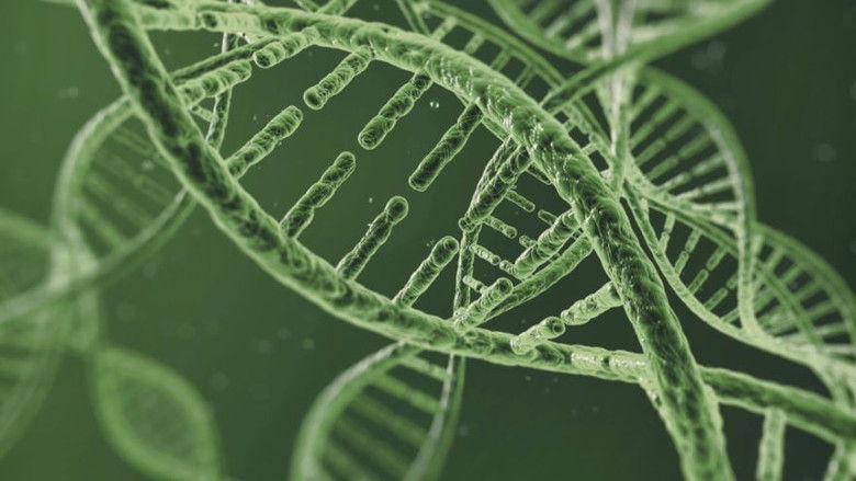 Still image for Foundations of Organic Chemistry season 1 episode 23: DNA and Nucleic Acids Still image for Foundations of Organic Chemistry season 1 episode 23: DNA and Nucleic Acids