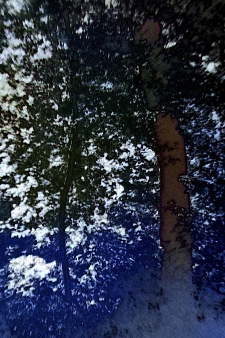 Imatge de In Paintings, All Emotions