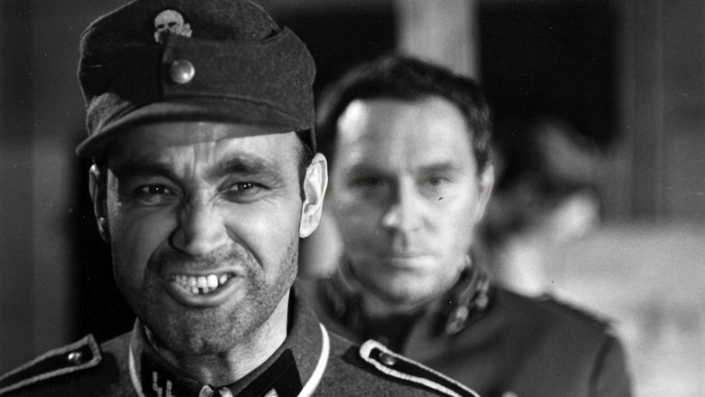 Gallery image from a3SbRLPUUs8JEeBbXwKOpsFyZ2V.jpg