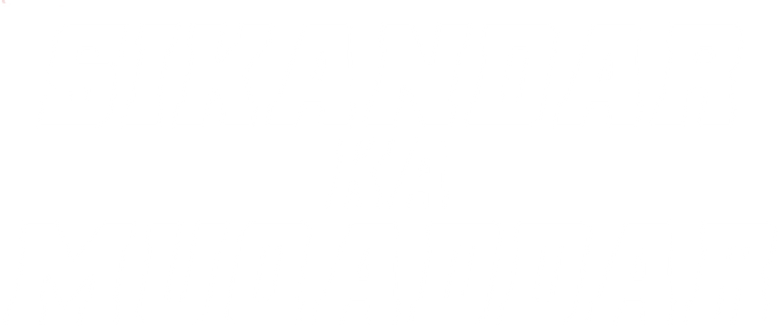 Imagen de El destino de Sikandar