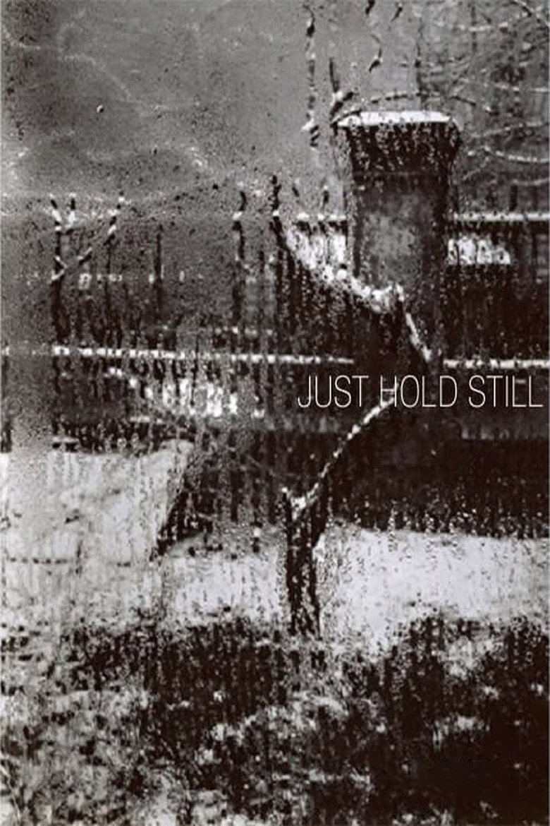 Just Hold Still main poster