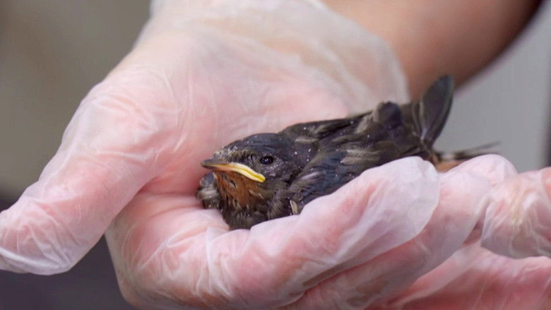 Still image for Joanna Page's Wild Life season 1 episode 14: Episode 14