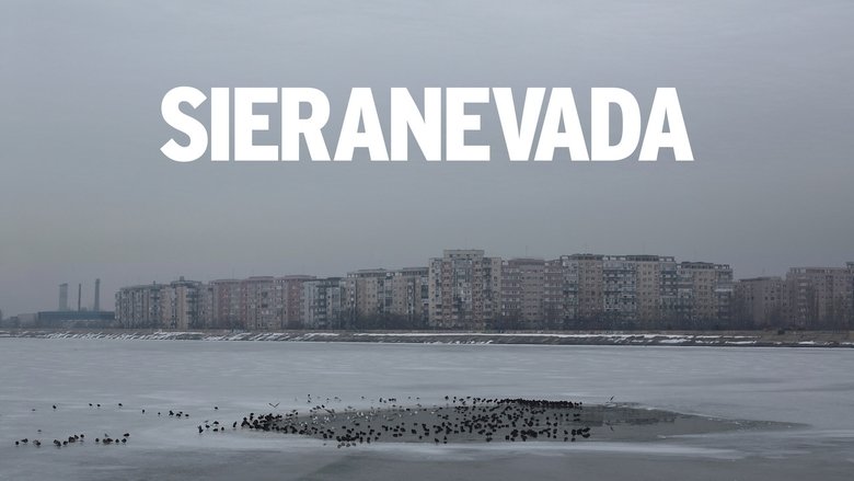 Gallery image from a4YSI2A7M5lBLjLpflGQLOGpawf.jpg