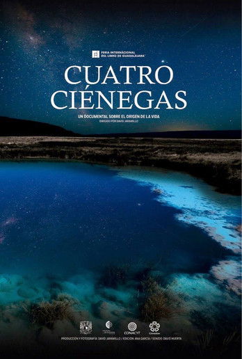 Cuatro Ciénegas poster