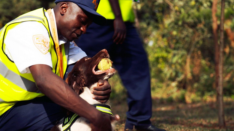 Still image for Haute sécurité season 1 episode 12: Episode 12