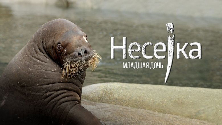 Gallery image from a5seG9tKgkB1kWwIjj4bQv6pZPp.jpg