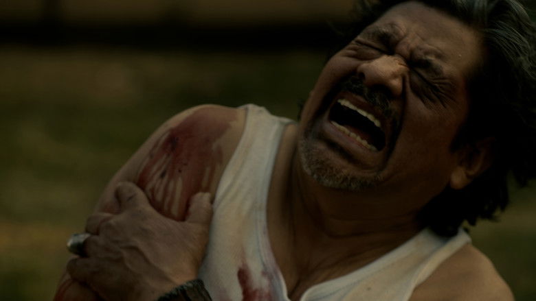 Image d'arrière-plan 2 du film Halcones