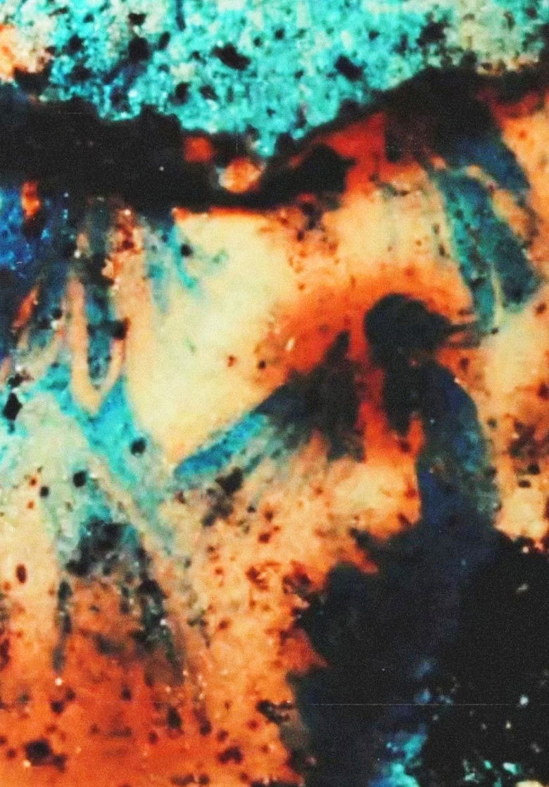 Imatge de Landfill 16