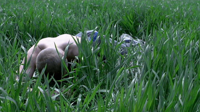 The Life of Jesus backdrop 5