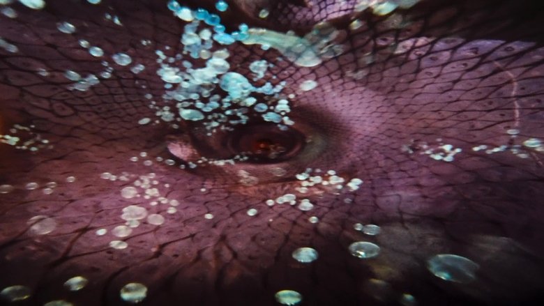 Fantastic Voyage (1966)