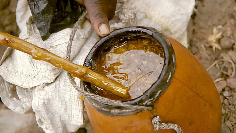 Still image for The Bee Whisperers season 1 episode 13: Episode 13