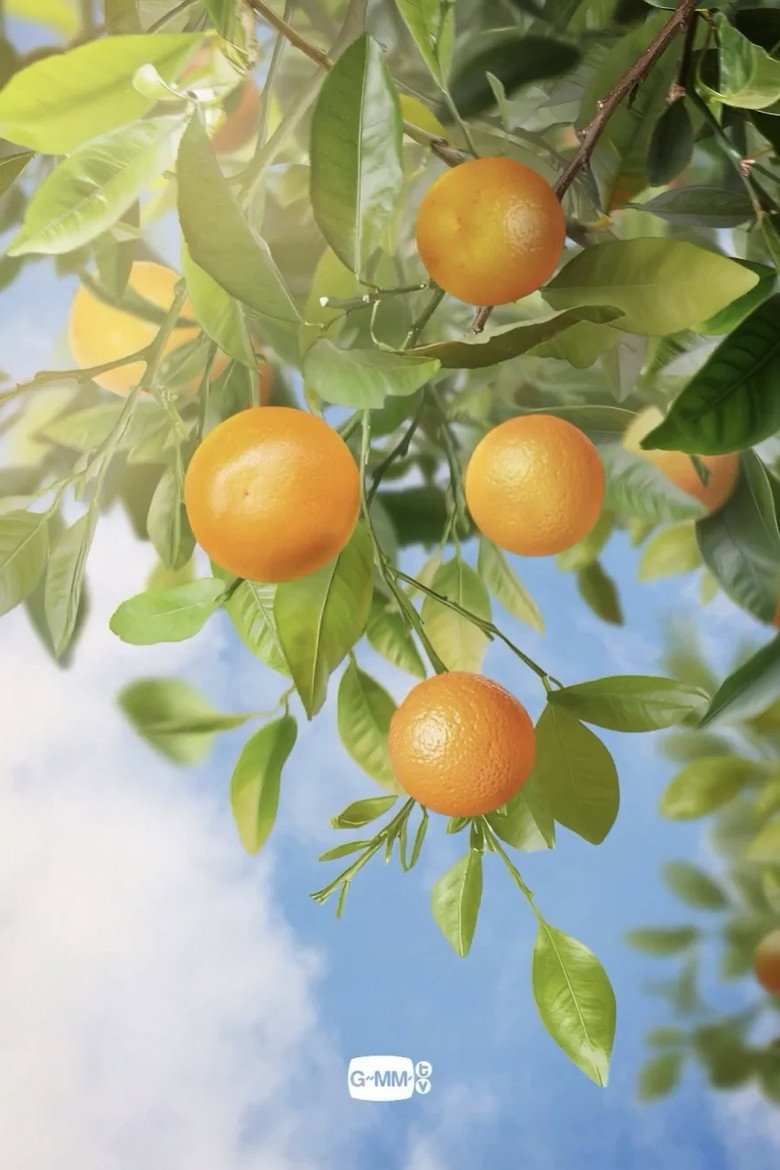 Imatge de When Oranges Fall