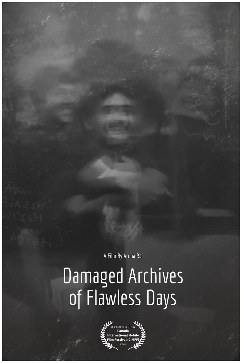 Imatge de Damaged Archives of Flawless Days