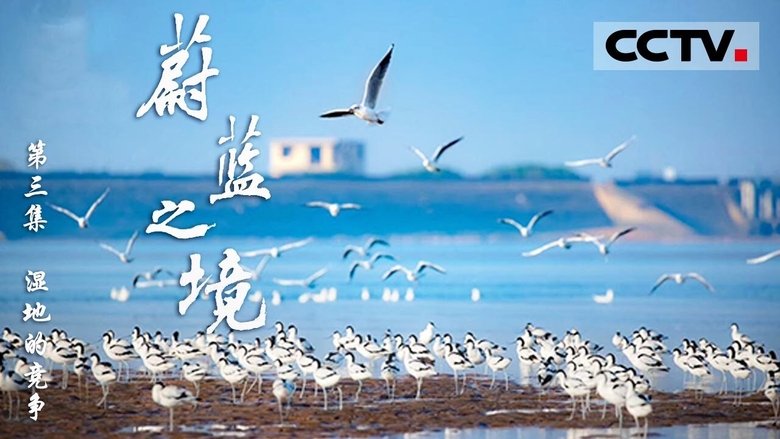 Still image for Blue Realm season 1 episode 3: Episode 3 Still image for Blue Realm season 1 episode 3: Episode 3