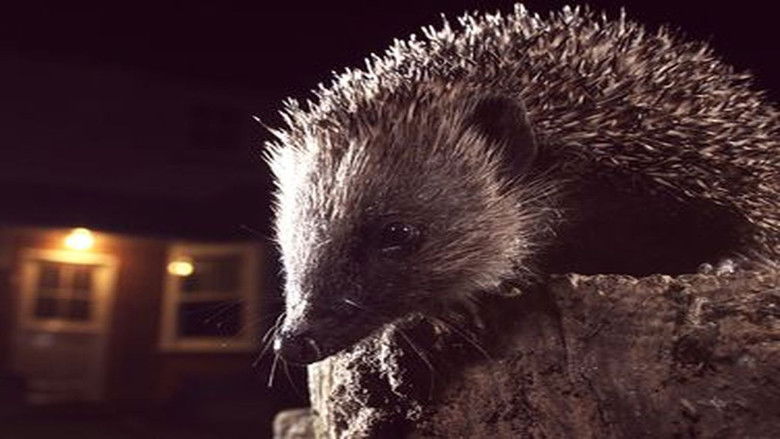 Still image for Wild Britain season 1 episode 8: Cities Still image for Wild Britain season 1 episode 8: Cities