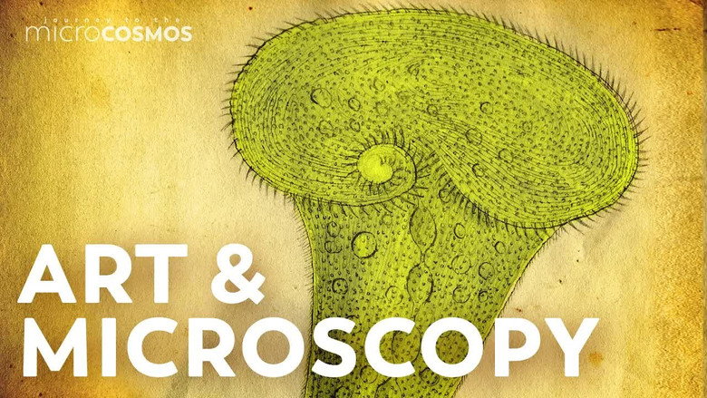 The Microcosmos of the 1800s - The Story of Christian Gottfried Ehrenberg