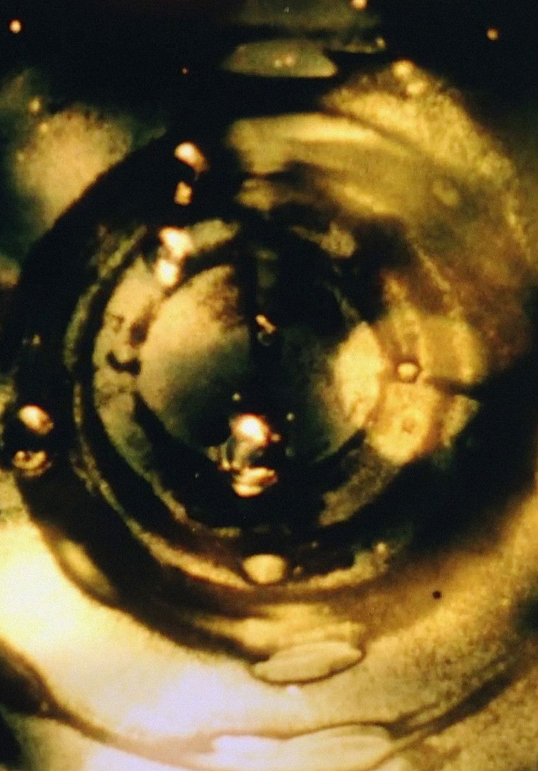 Imatge de Prima Materia