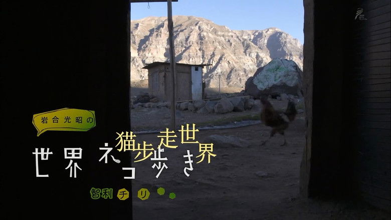 Still image for Mitsuaki Iwago's World “Cats” Travelogue season 1 episode 18: Chile Still image for Mitsuaki Iwago's World “Cats” Travelogue season 1 episode 18: Chile