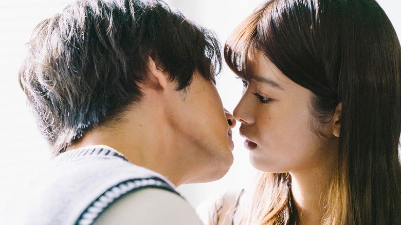 Still image for Hey Sensei, Don't you know? season 1 episode 5: Episode 5