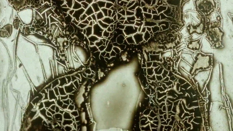 Imatge de Instabile Materie