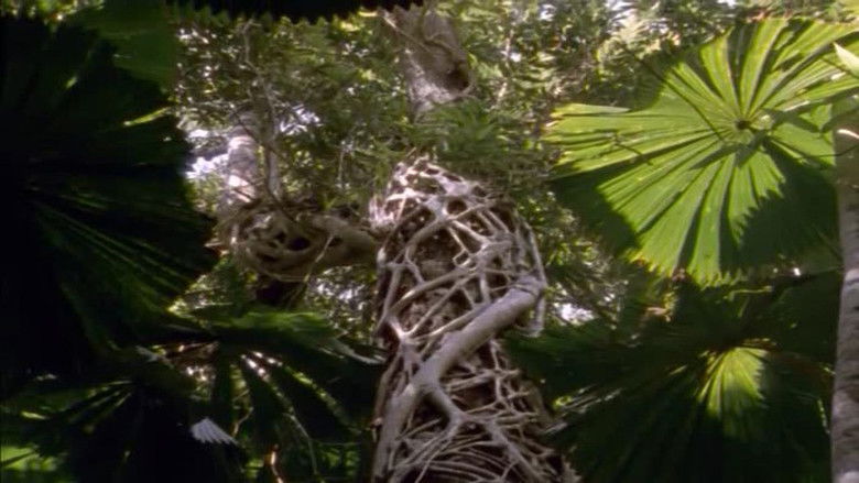 Still image for Wonders of Australia's National Parks season 1 episode 1: Treasures of the Coast