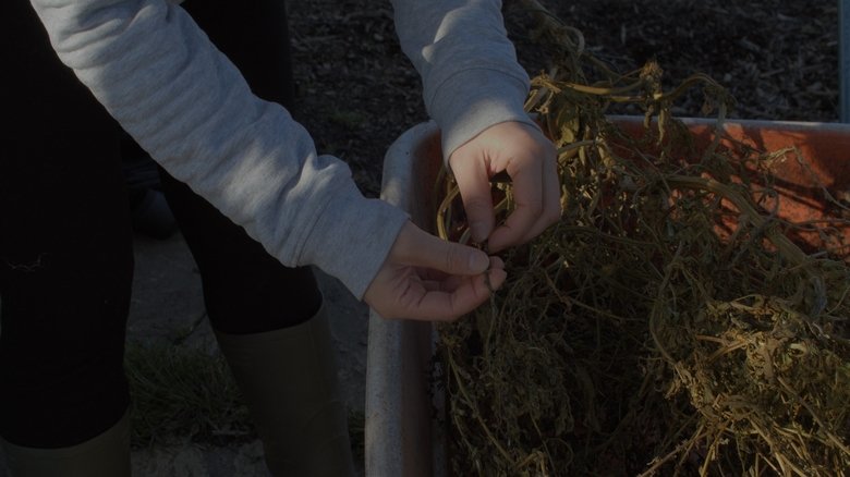 Gallery image from aCYHzM472KcWSxOWwvDfeoZO82t.jpg