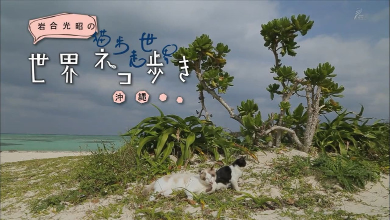 Still image for Mitsuaki Iwago's World “Cats” Travelogue season 1 episode 16: Okinawa Still image for Mitsuaki Iwago's World “Cats” Travelogue season 1 episode 16: Okinawa